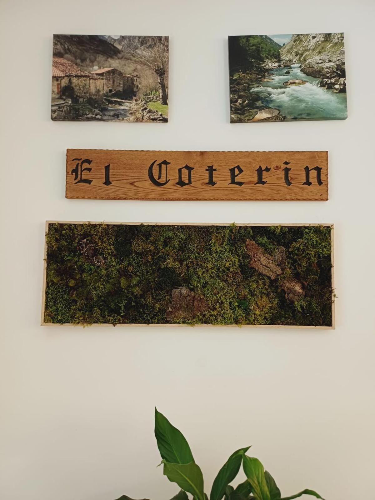 Hotel El Coterin Apartamentos Y Habitaciones Arenas De Cabrales Luaran gambar